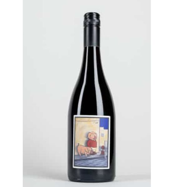 Gum "Gaz" Gamay/Shiraz 2023